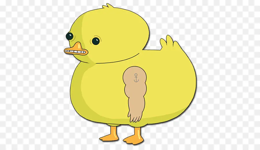 Pato De Desenho Animado，Pato PNG