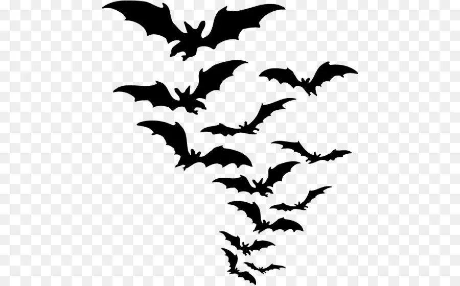 Bat，Download PNG