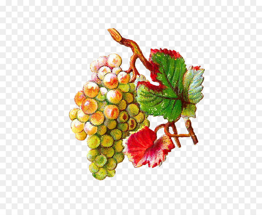 Uvas，Fruta PNG