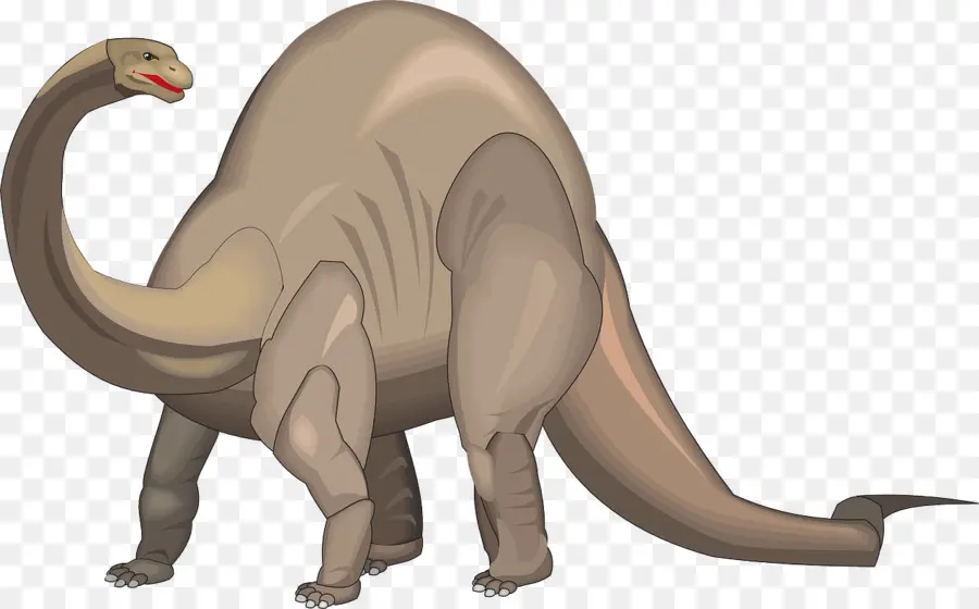 Brontosaurus，Apatossauro PNG