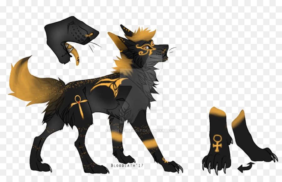 Lobo Preto E Dourado，Lobo PNG