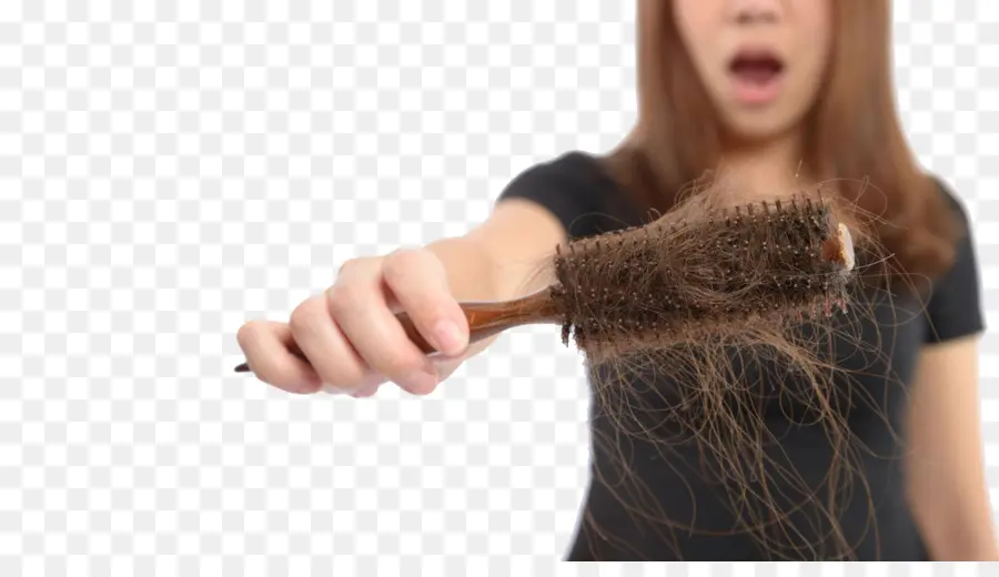 Escova De Cabelo，Cabelo PNG