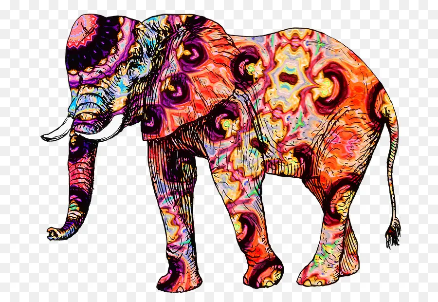 Elefante，Decorativo PNG