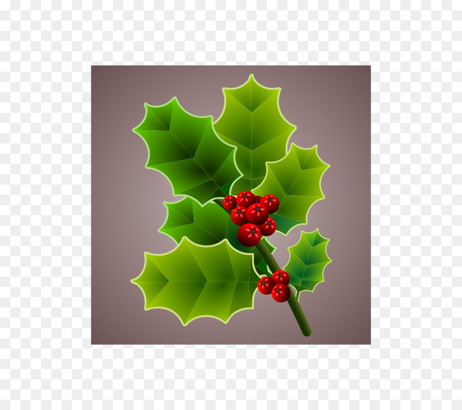 Natal，Comum Holly PNG