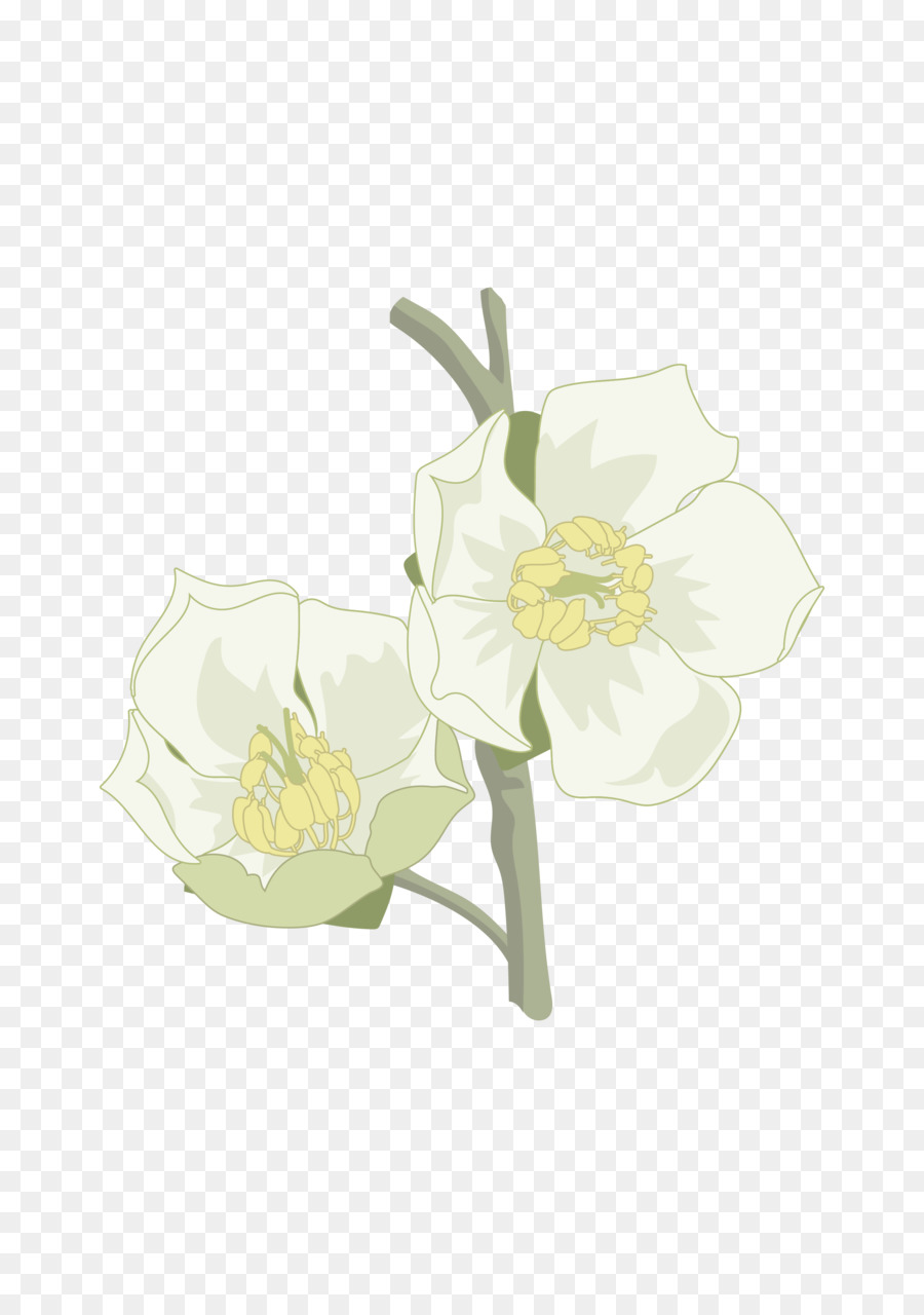 Flor，Flores De Corte PNG