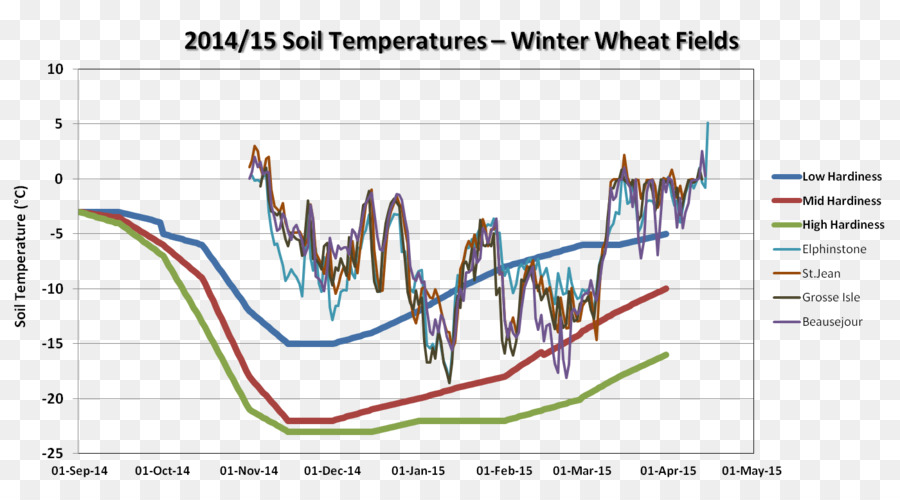 Trigo De Inverno，Vernalization PNG