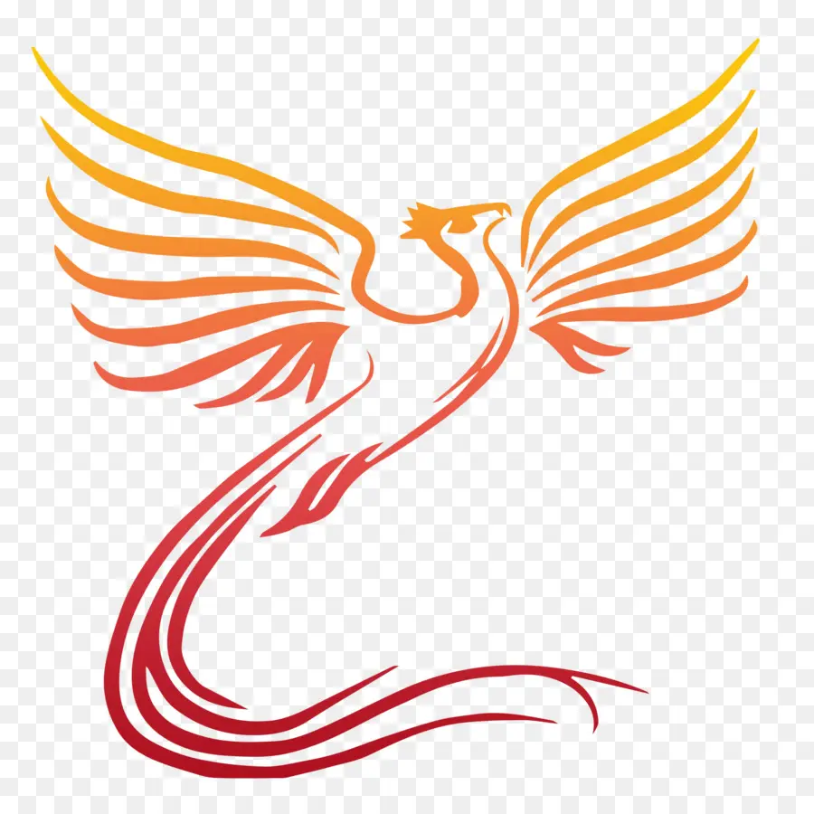 Phoenix，Aves PNG