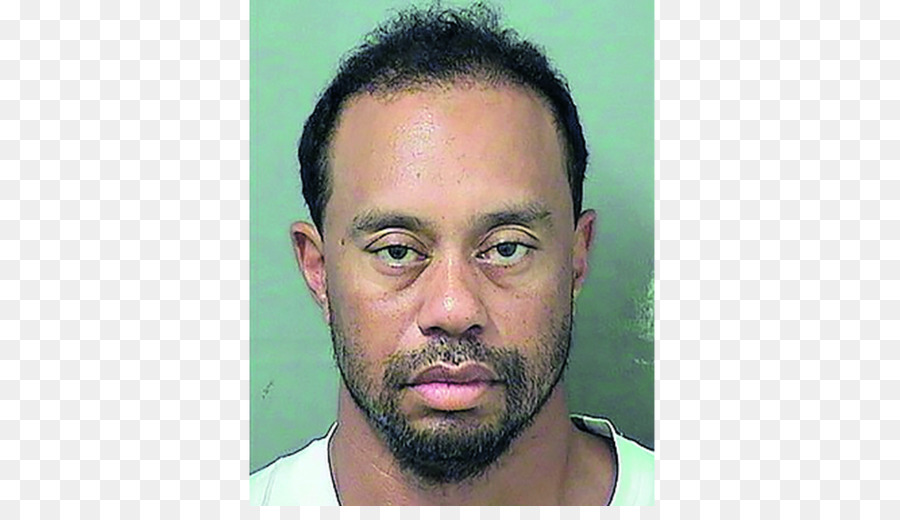 Tiger Woods，Flórida PNG