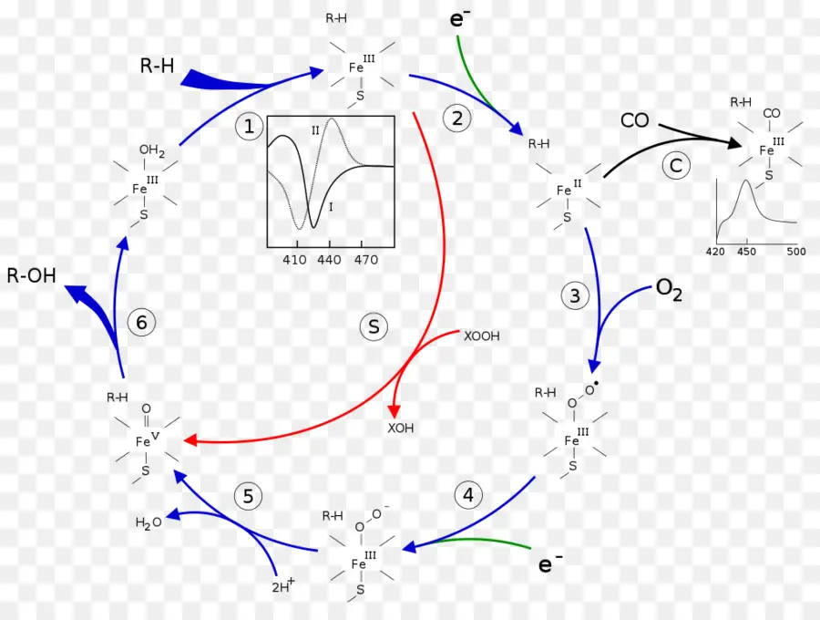 Diagrama Químico，Reação PNG