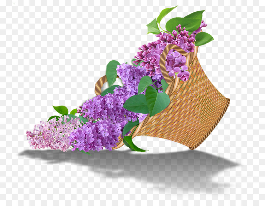 Flor，Molduras PNG