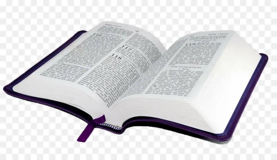Bíblia，Estudo Da Bíblia PNG