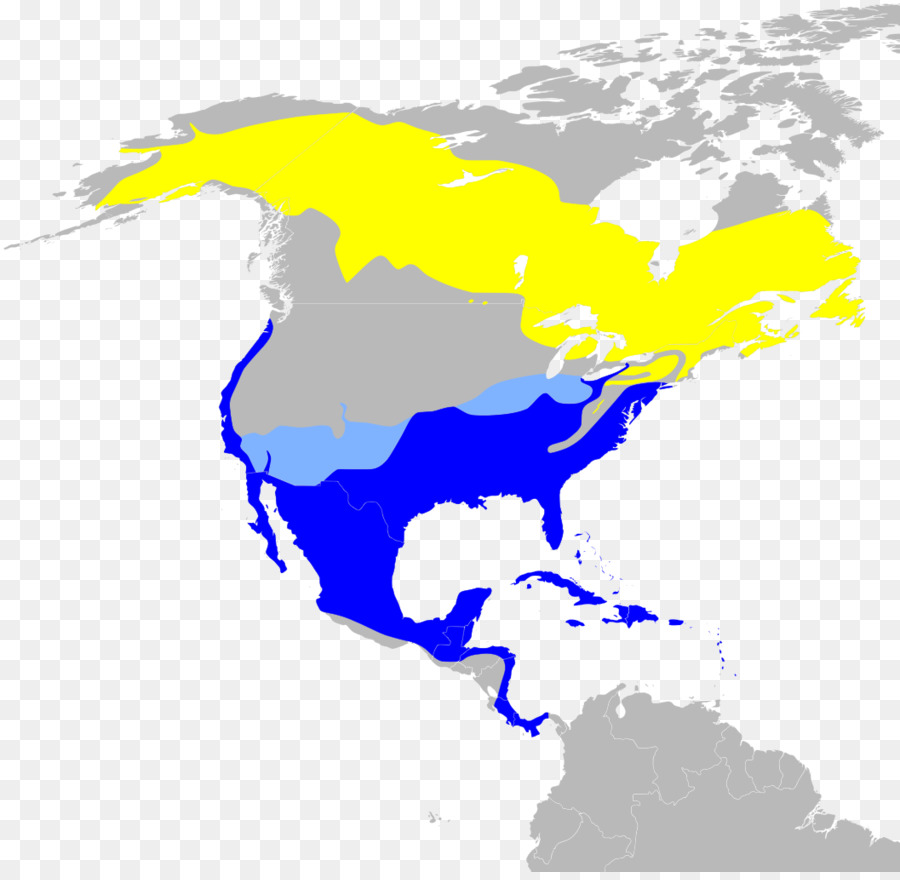 Estados Unidos，América Do Sul PNG