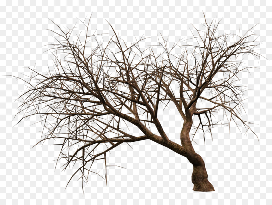 Renderização Em 3d，árvore PNG