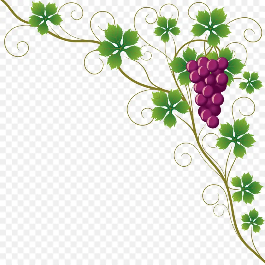 Uvas，Videira PNG