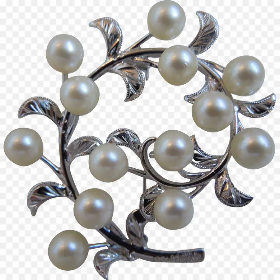 Jóias，Broche PNG