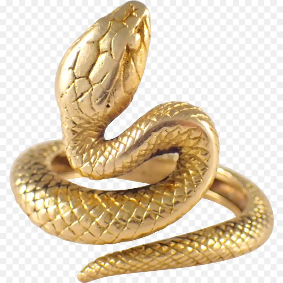 Cobra，Ouro PNG