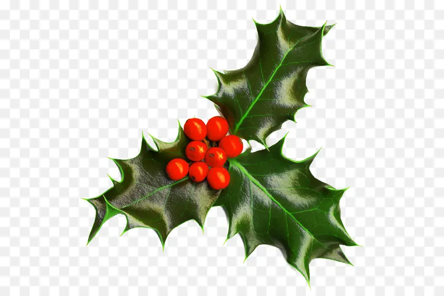 Natal，Decoração De Natal PNG