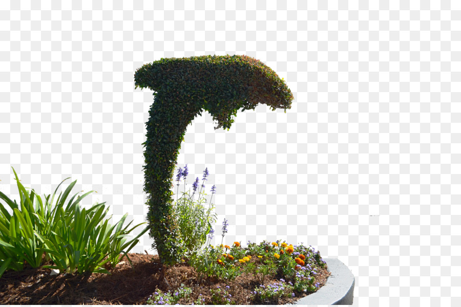 Topiary，Fotografia PNG