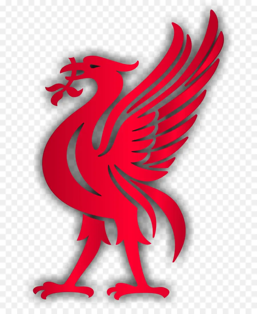 O Liverpool Fc，Liverpool PNG