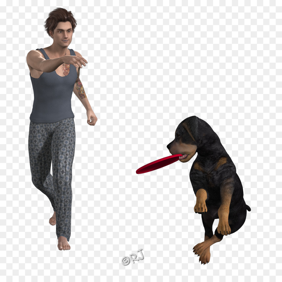 Cão，Leash PNG