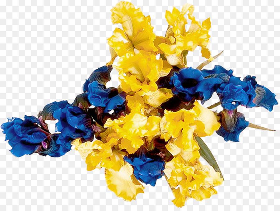 Flor，Flores De Corte PNG