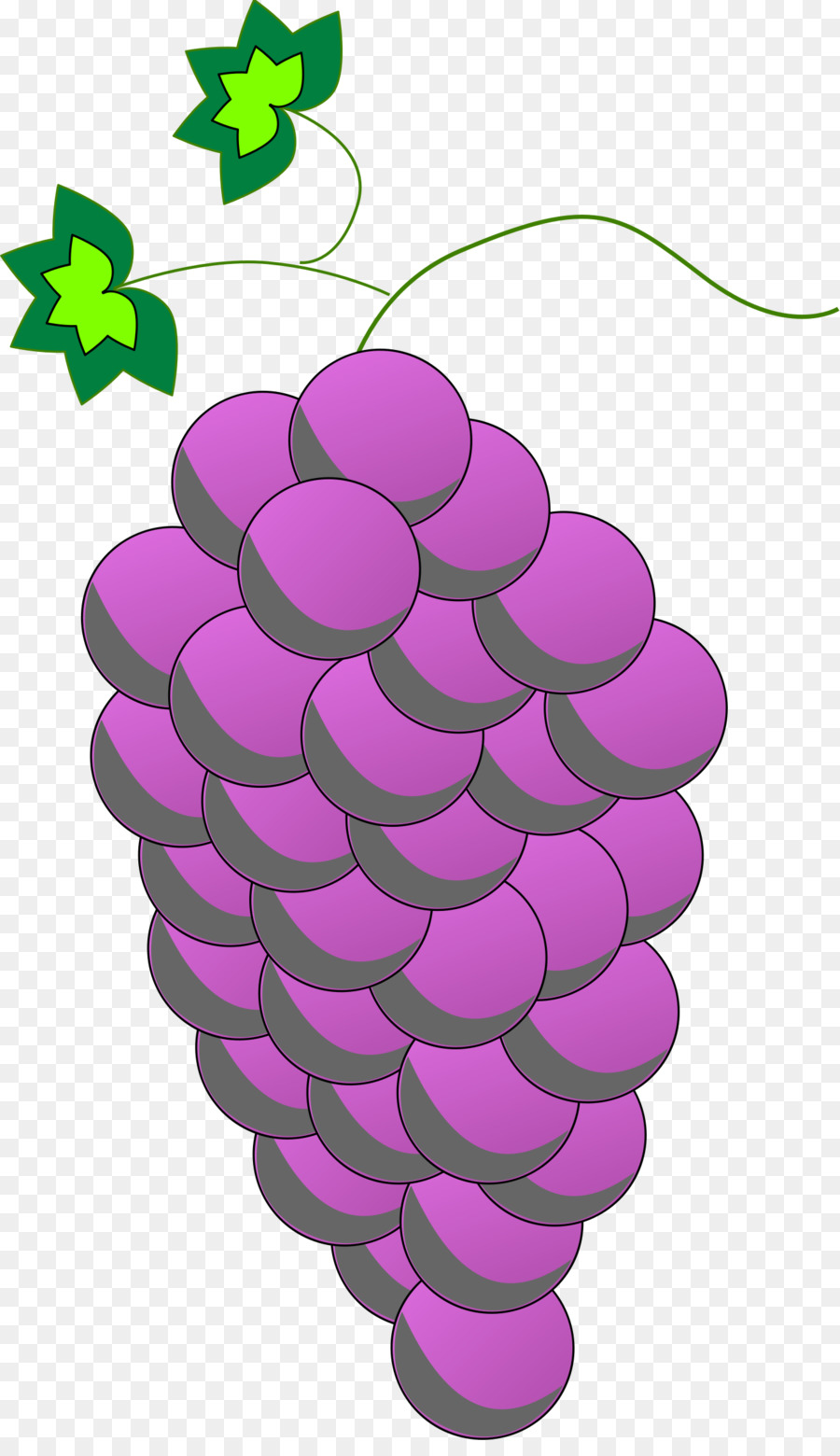 Uvas，Roxo PNG