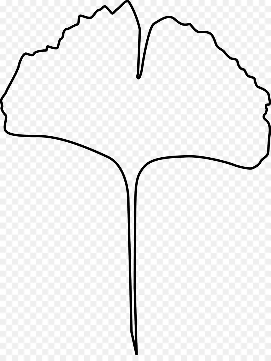 Ginkgo Biloba，Folha PNG