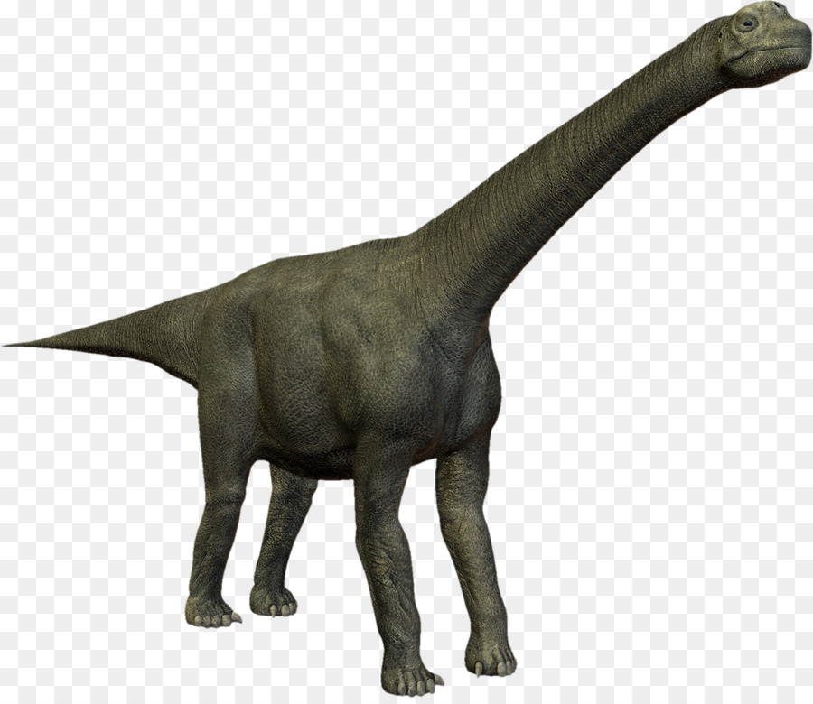 Dinossauro，Uma Vez PNG