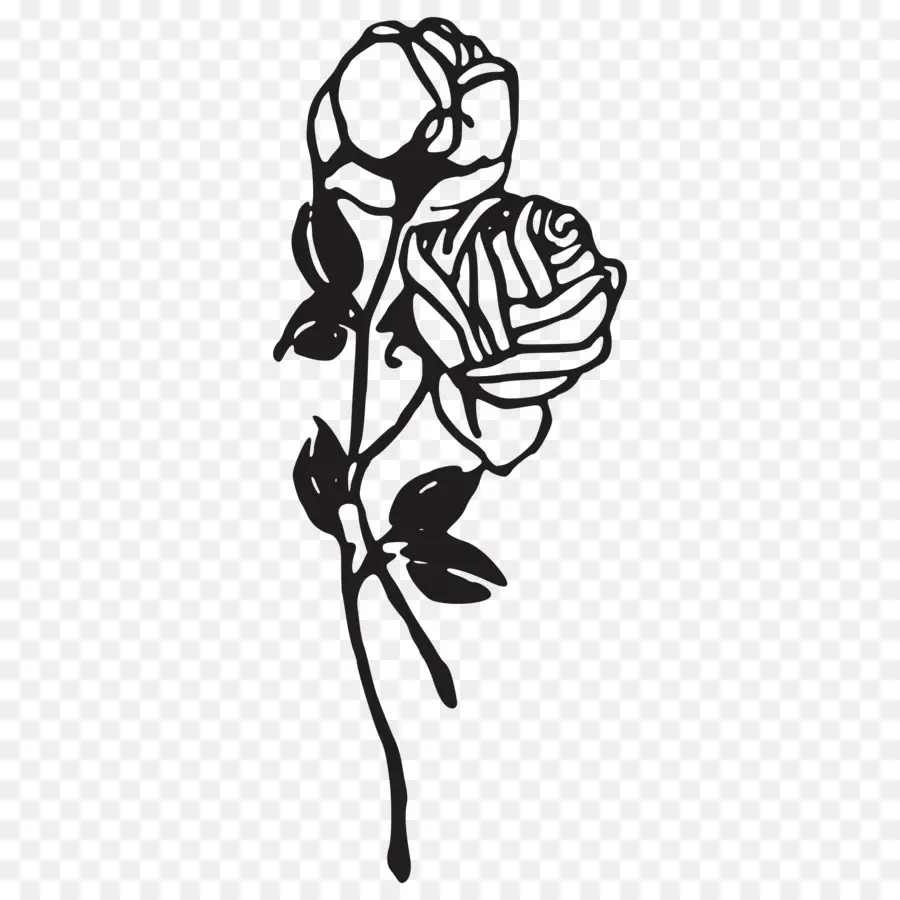 Rosa，Black Rose PNG