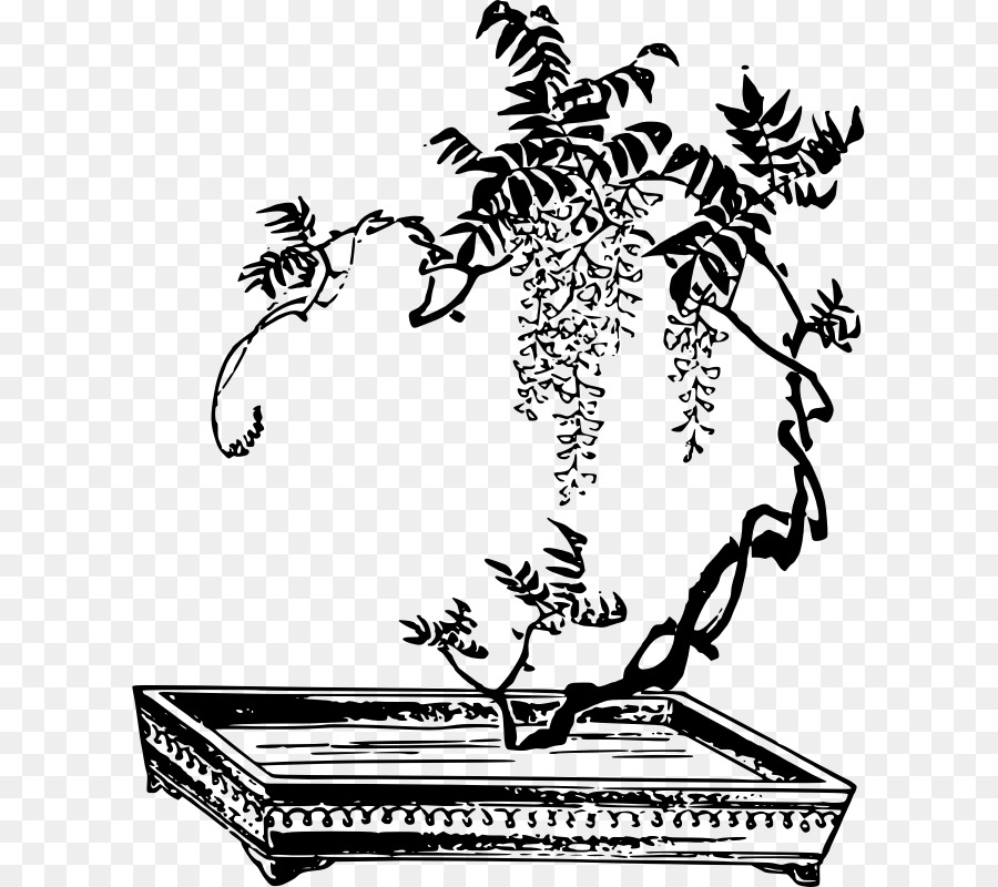 Árvore Bonsai，Miniatura PNG