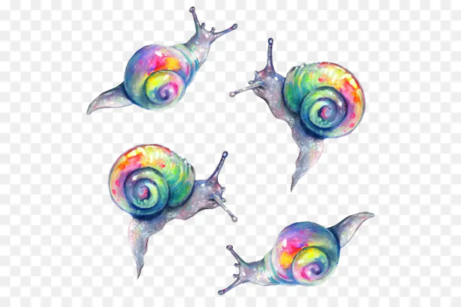 Caracóis Coloridos，Arco íris PNG