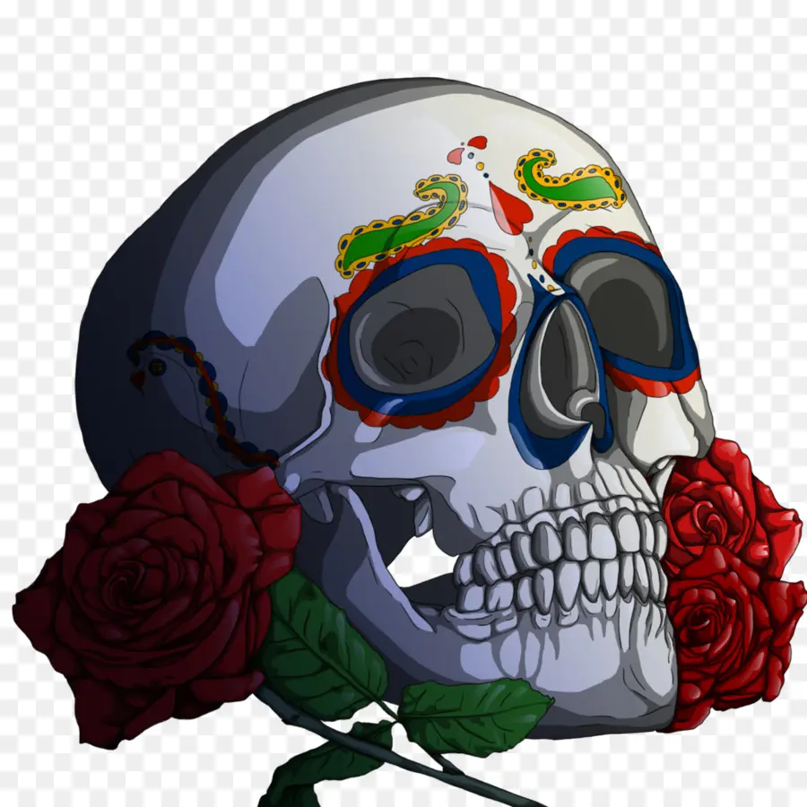 Calavera，Crânio PNG