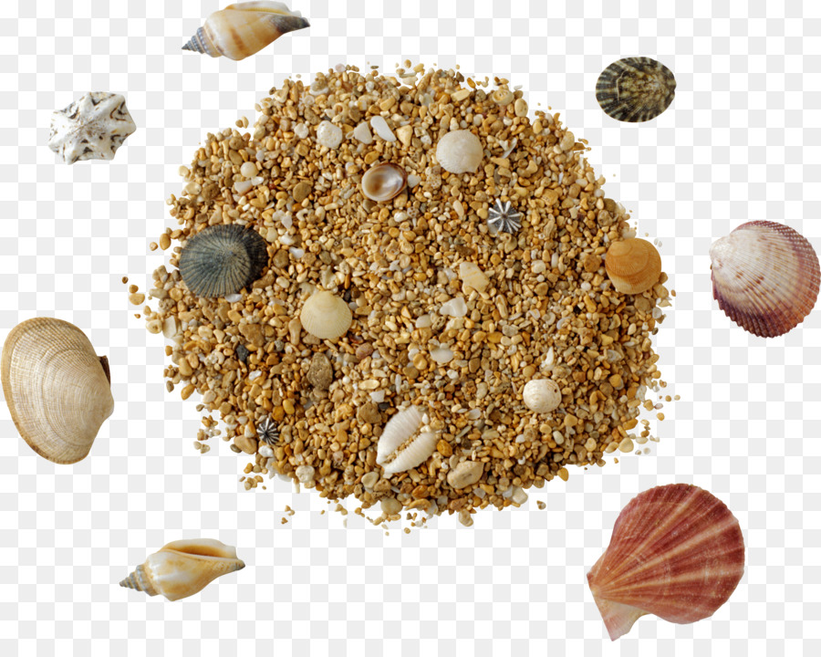 Areia，Conchas PNG