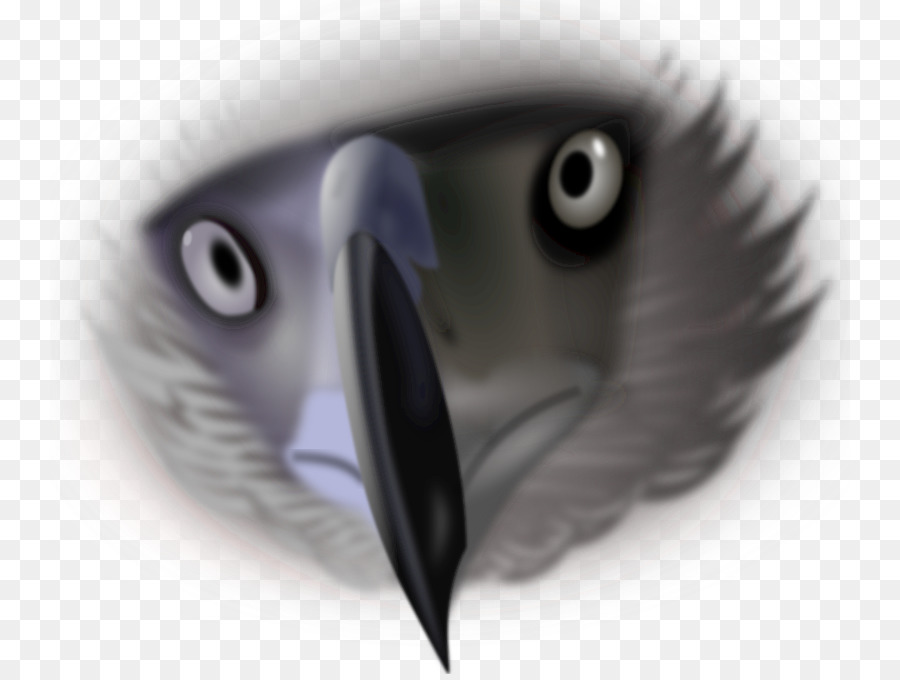 Aves，Download PNG
