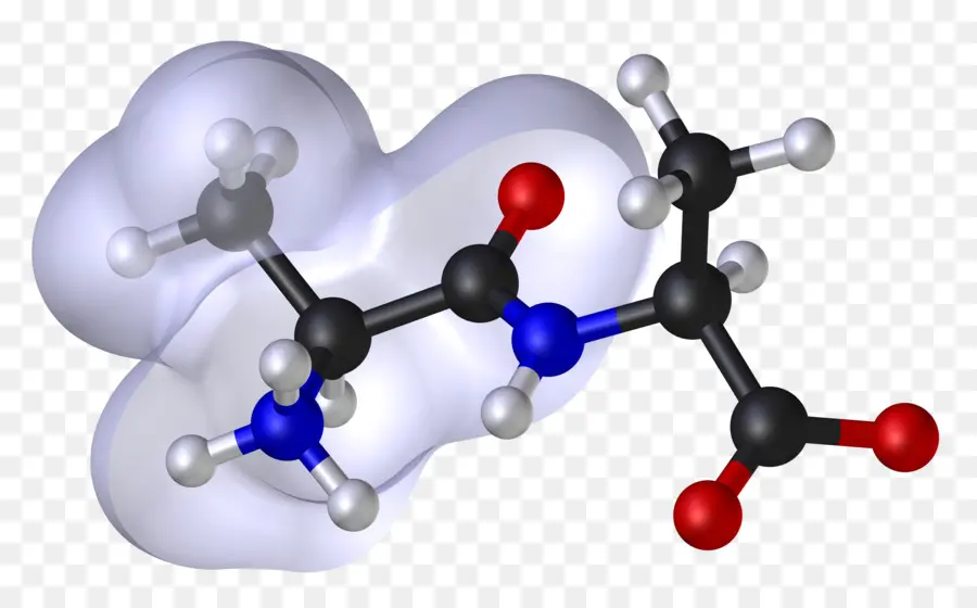 Modelagem Molecular，Molécula PNG