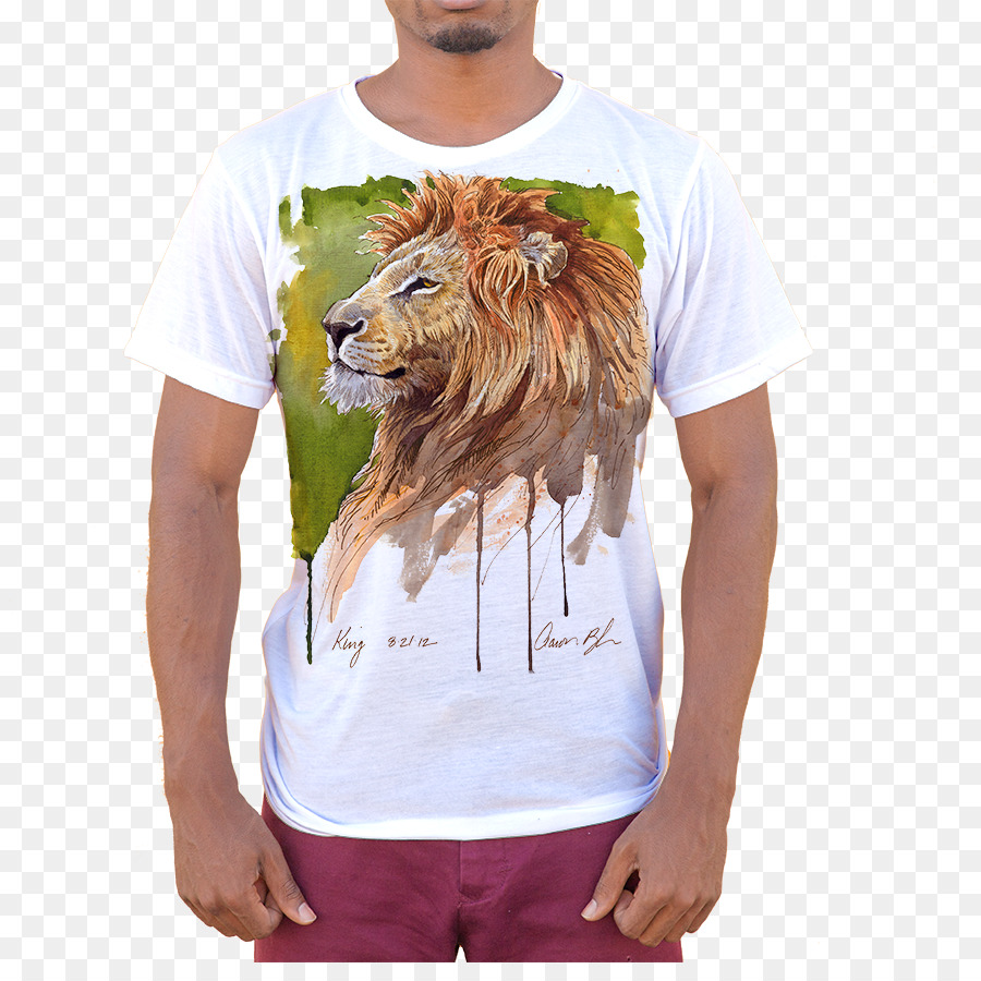 Tshirt，Vestuário PNG