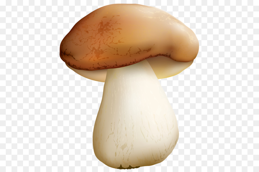 Cogumelos，Fungos PNG