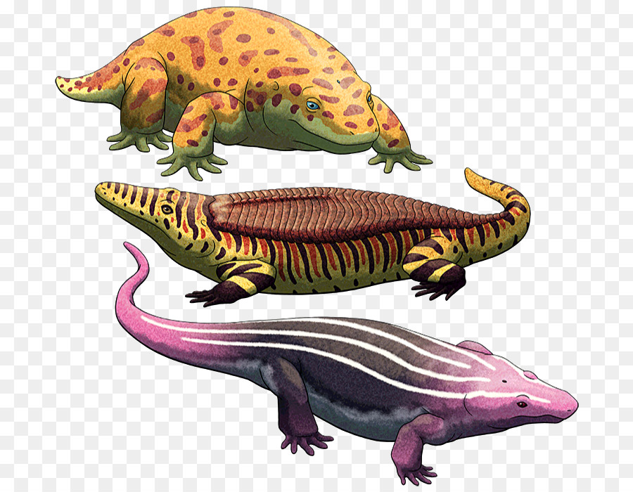 Desenho Animado Com Caráter Réptil Verde De Dinossauro Ilustração Stock -  Ilustração de paleontologia, arte: 241846285