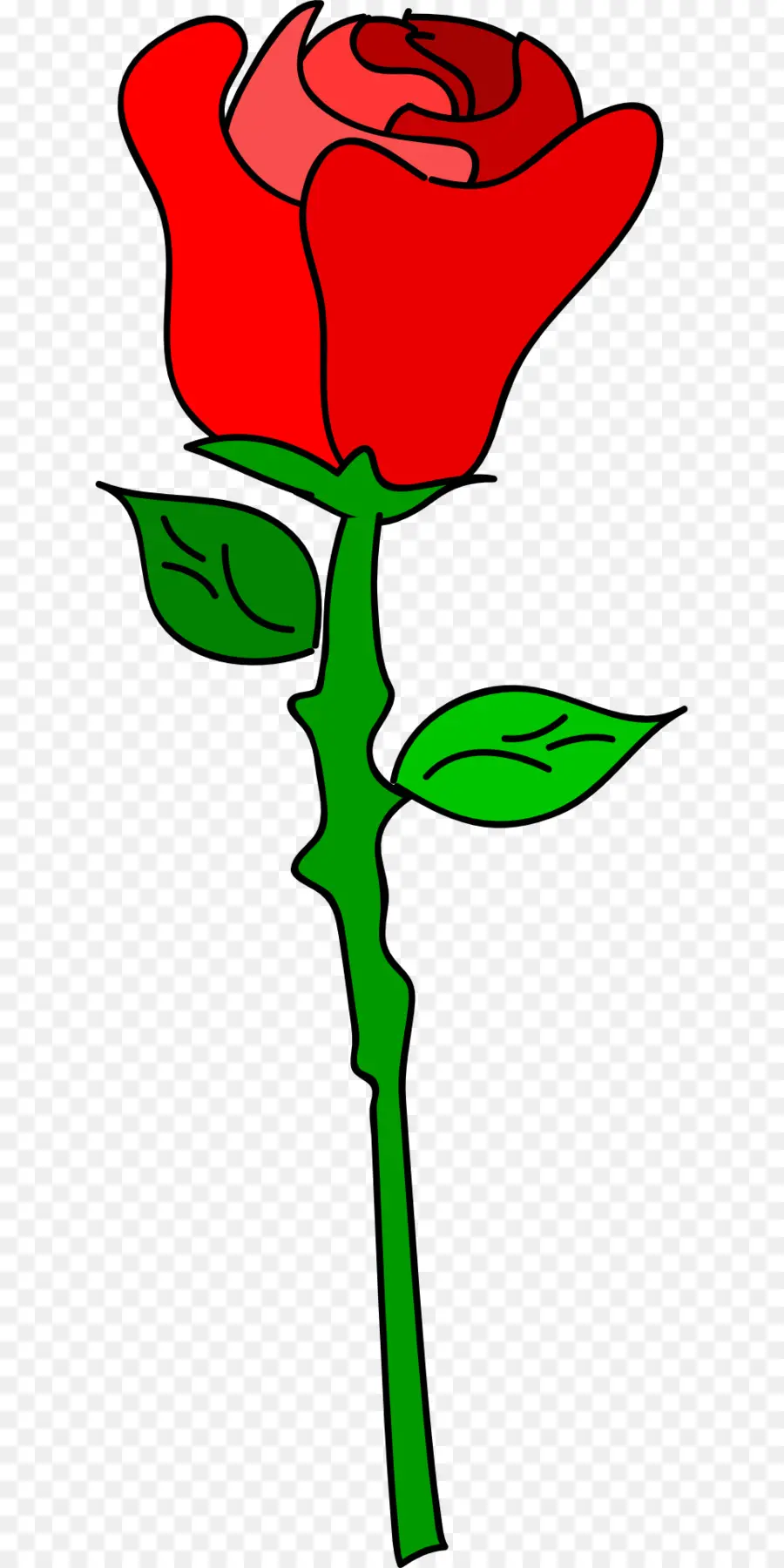 Rosa，Desenho PNG