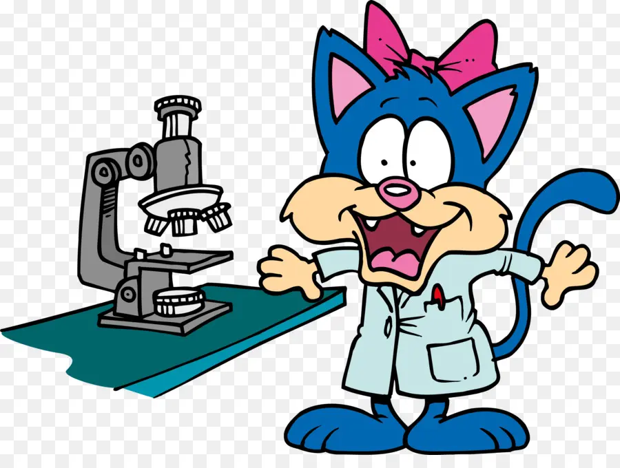 Cientista De Gato De Desenho Animado，Gato PNG