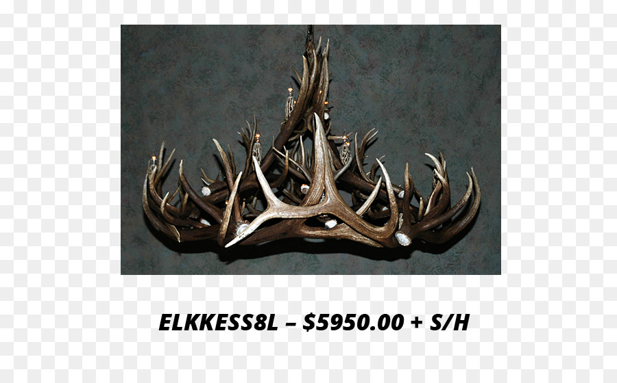 Antler，Elk PNG