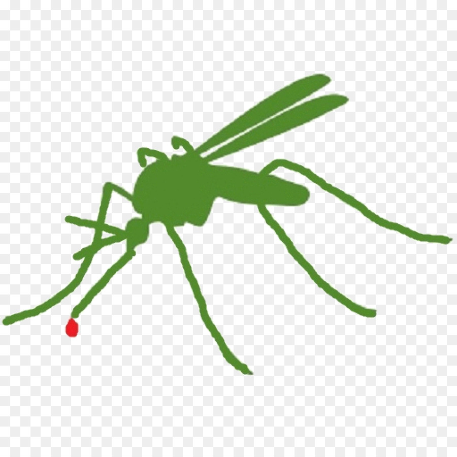 Mosquito，Erro PNG