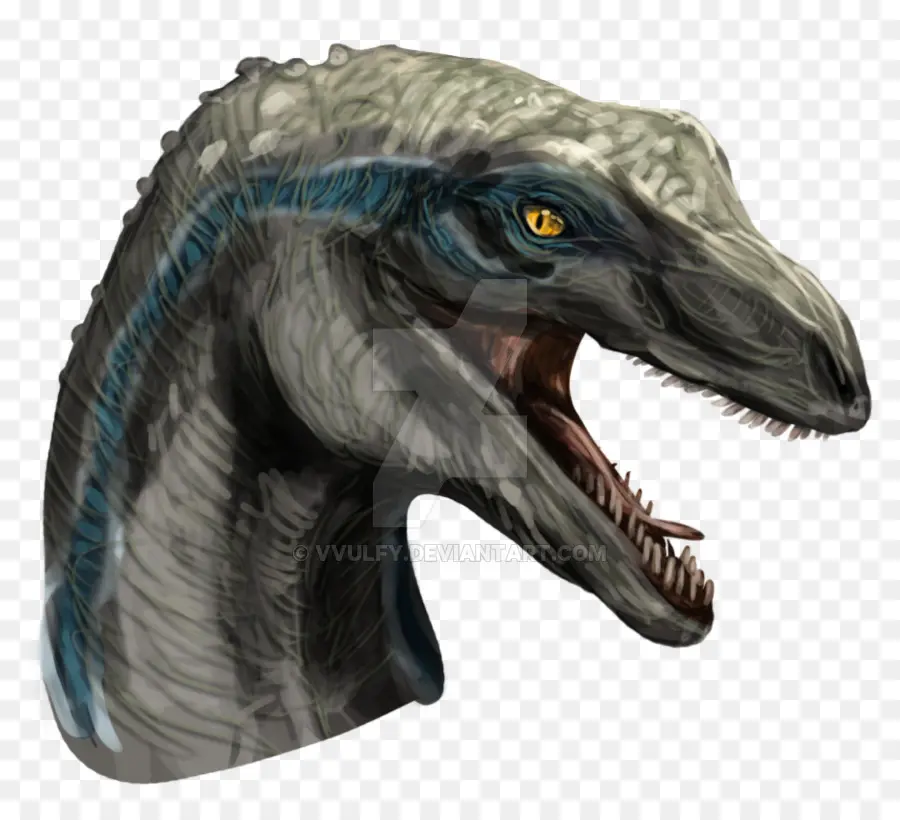 Velociraptor，Tiranossauro PNG