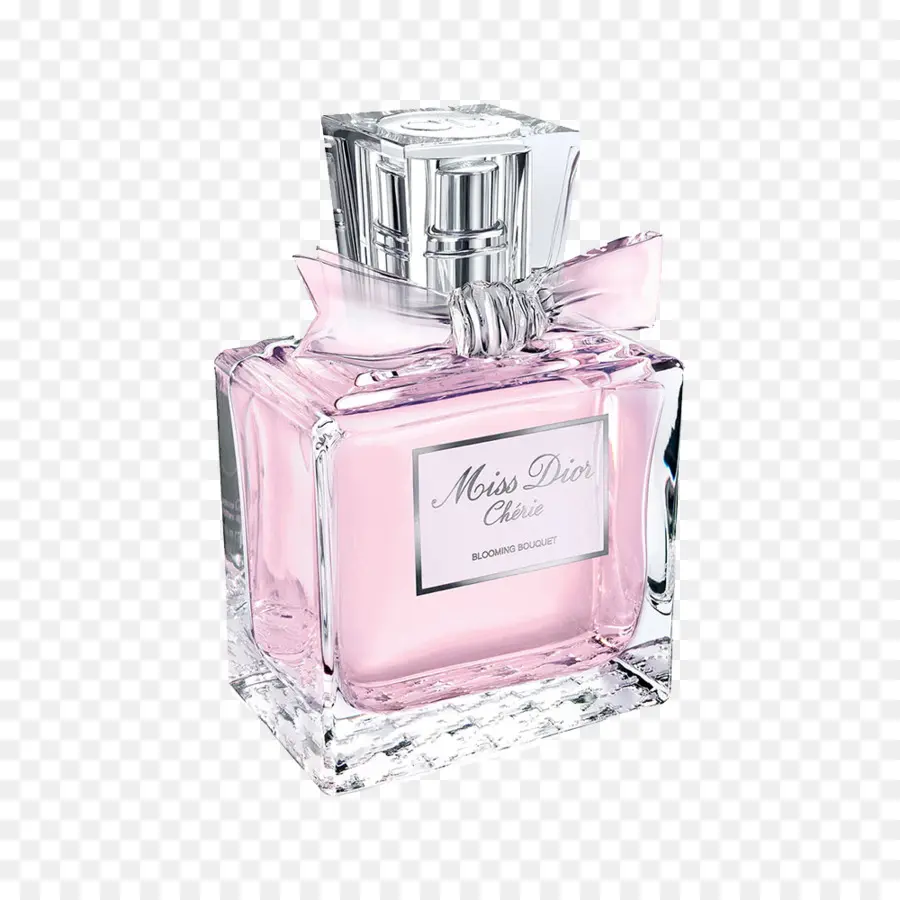 Miss Dior，Christian Dior é PNG