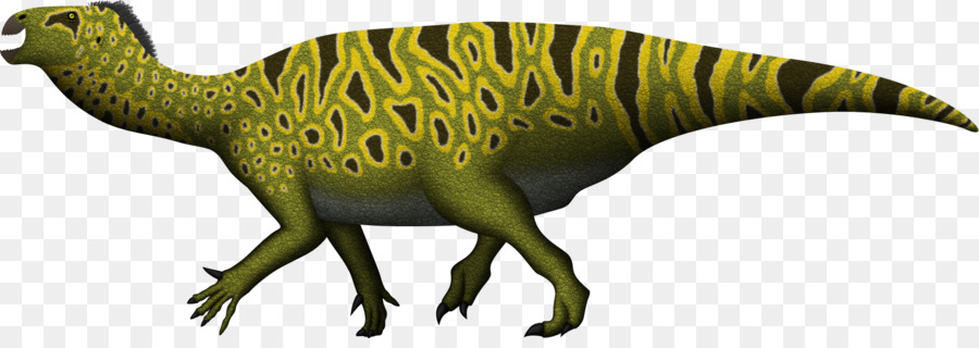 Iguanodonte，Tiranossauro PNG