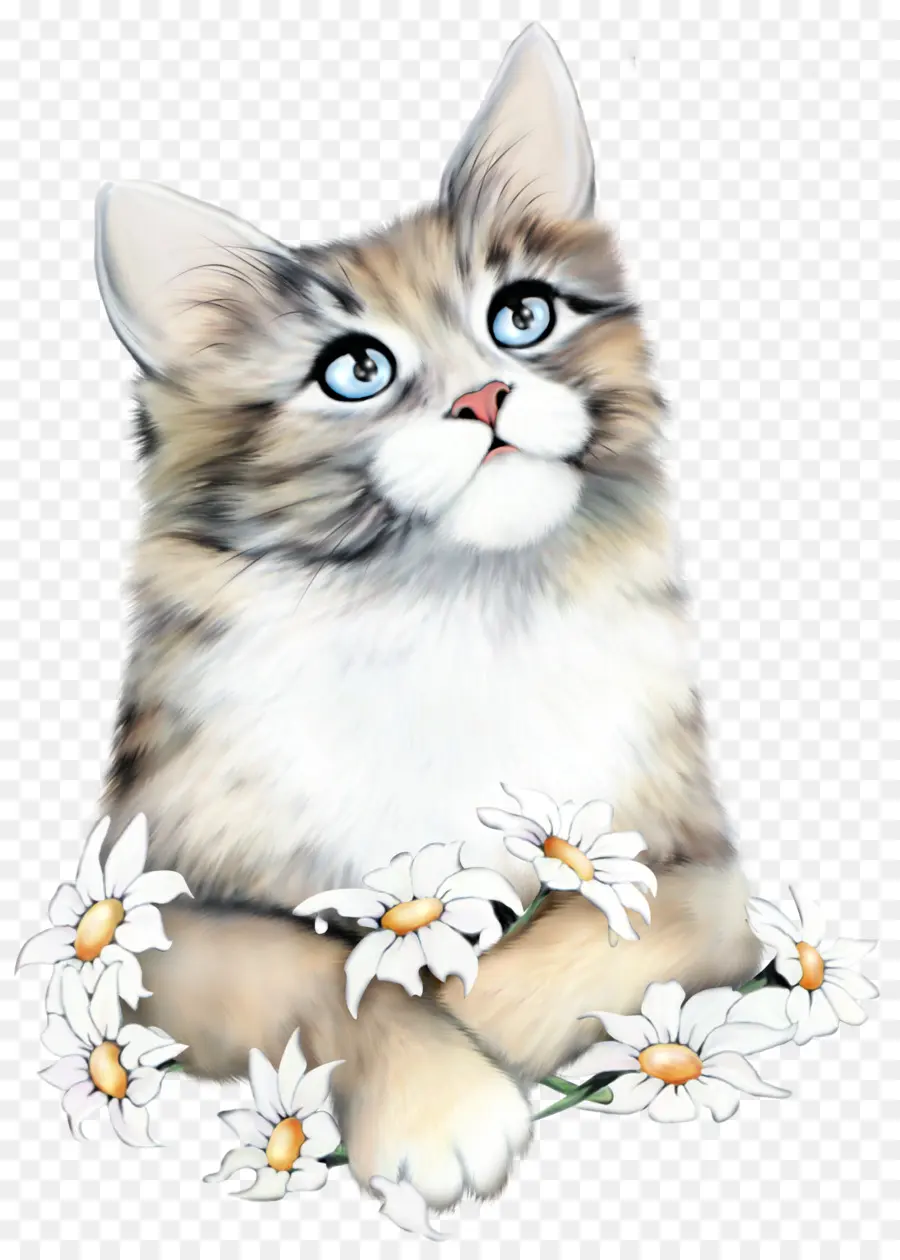 Gato，Gatinho PNG