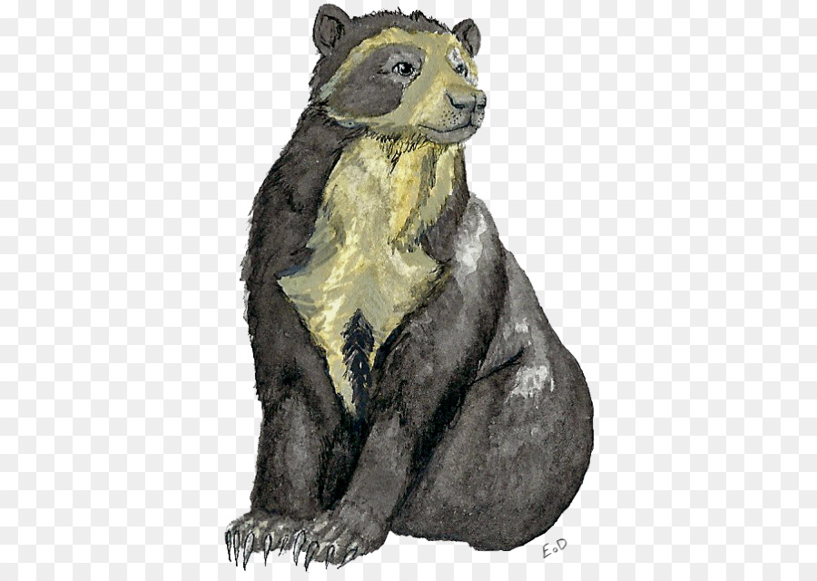 Roedores，Mustelídeos PNG