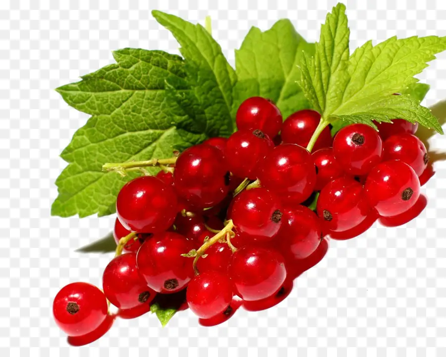 Groselha，Berry PNG