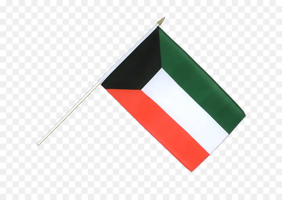 Bandeira Da Palestina，Triângulo Vermelho PNG