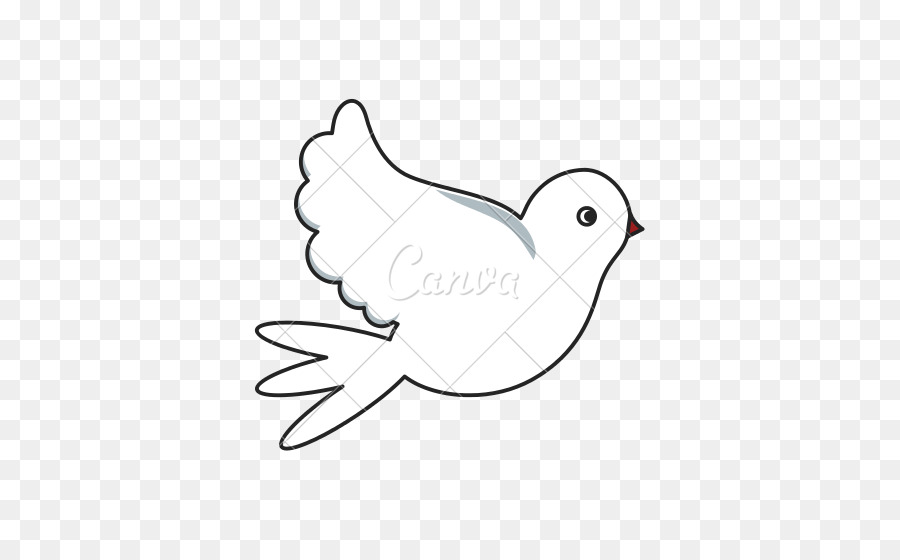 Aves，Desenho PNG